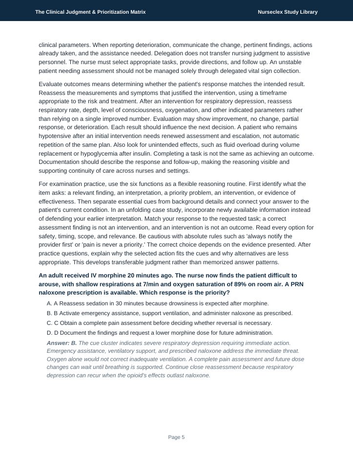 The Clinical Judgment & Prioritization Matrix - Page 5